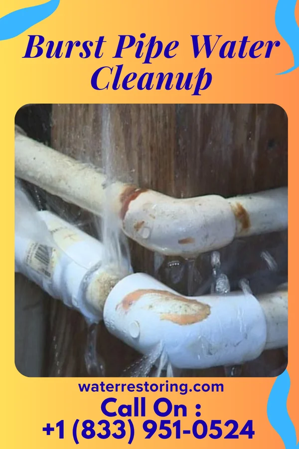 Burst Pipe Water Cleanup in Stewartstown, PA