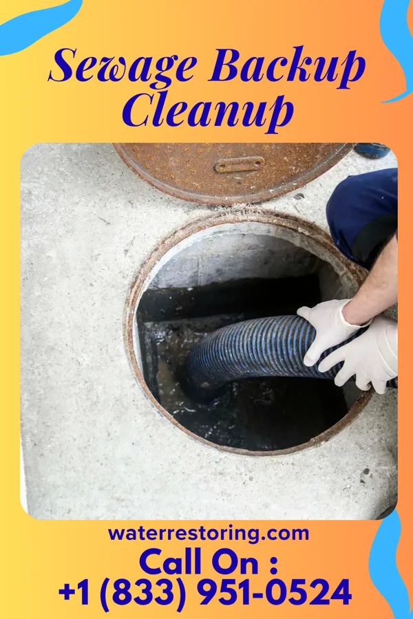 Sewage Backup Cleanup in Stewartstown, PA