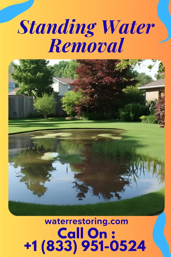 Standing Water Removal in Stewartstown, PA